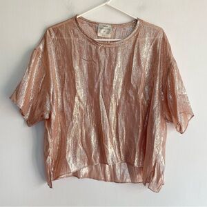 Forte Forte Silk Pink Metallic Sheer Tshirt Short Sleeve Blouse Italy Size 4